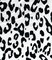 1 Yard Ivory Brushed DTY Leopard Print Knit Fabric 170 GSM, 58/60″ Wide Polyester Spandex Blend